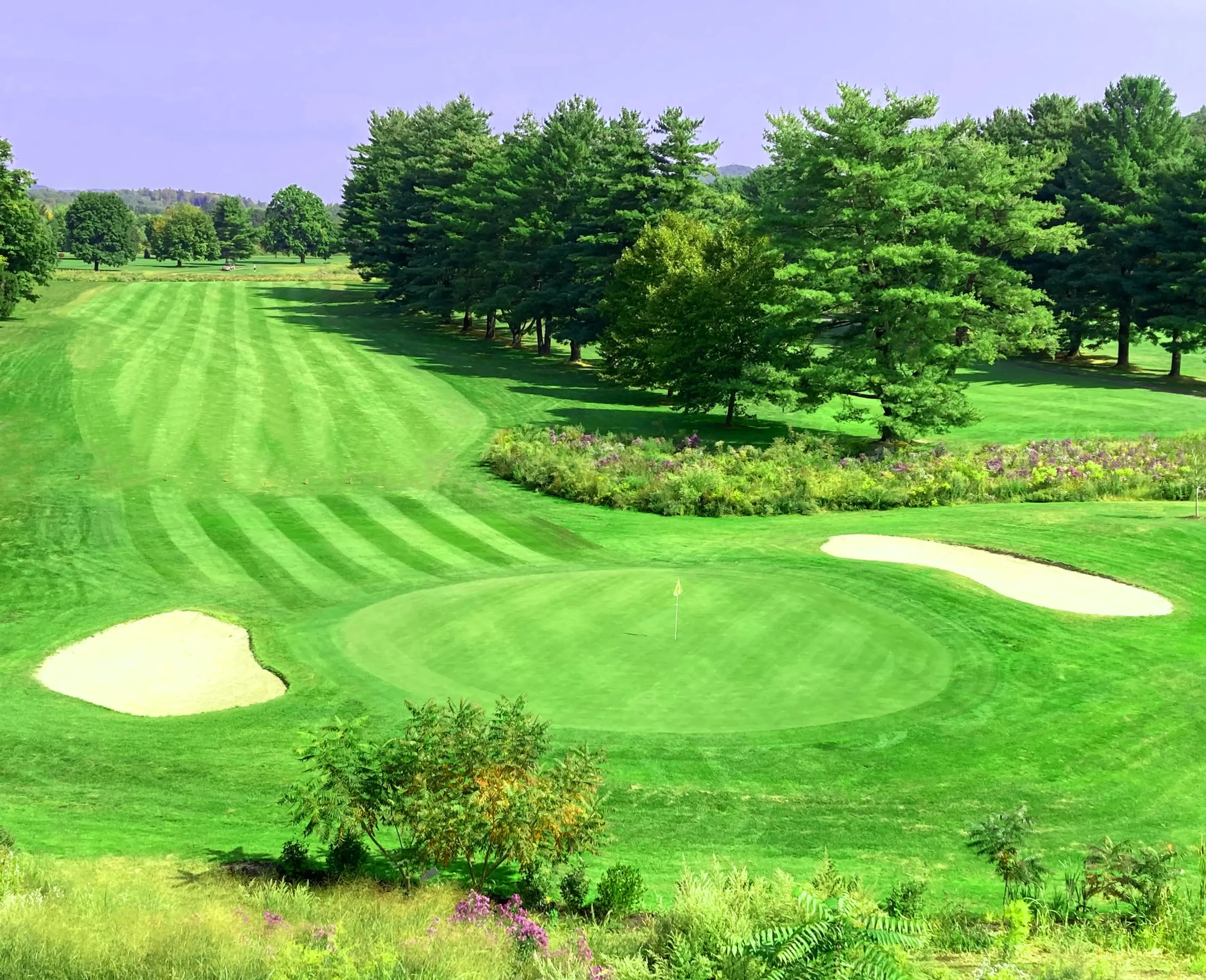 Lynx at River Bend Golf Club - Photo 2